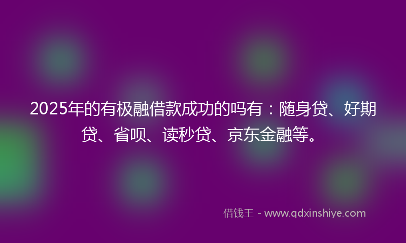 2025年的有极融借款成功的吗有：随身贷、好期贷、省呗、读秒贷、京东金融等。