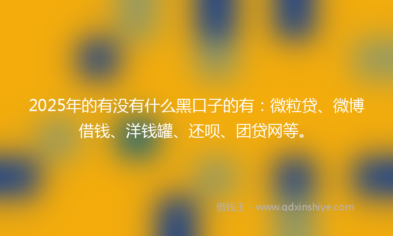 2025年的有没有什么黑口子的有：微粒贷、微博借钱、洋钱罐、还呗、团贷网等。