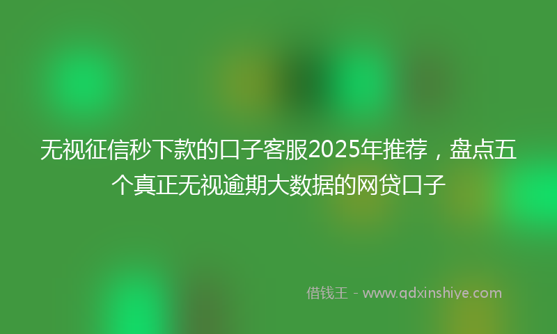 无视征信秒下款的口子客服2025年推荐，盘点五个真正无视逾期大数据的网贷口子