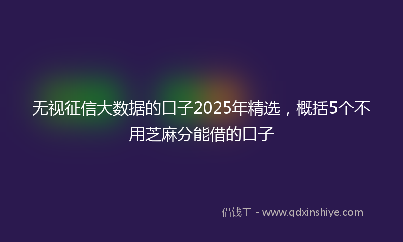 无视征信大数据的口子2025年精选，概括5个不用芝麻分能借的口子
