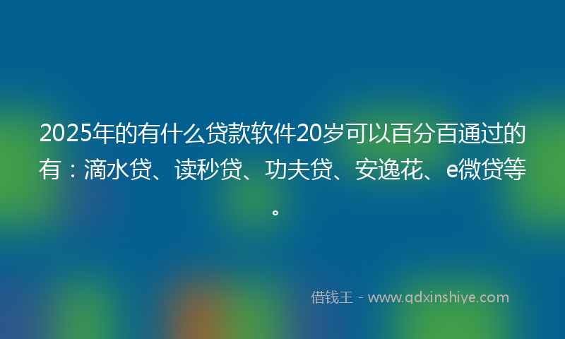 2025年的有什么贷款软件20岁可以百分百通过的有：滴水贷、读秒贷、功夫贷、安逸花、e微贷等。