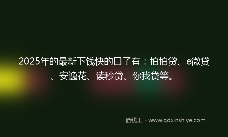 2025年的最新下钱快的口子有：拍拍贷、e微贷、安逸花、读秒贷、你我贷等。