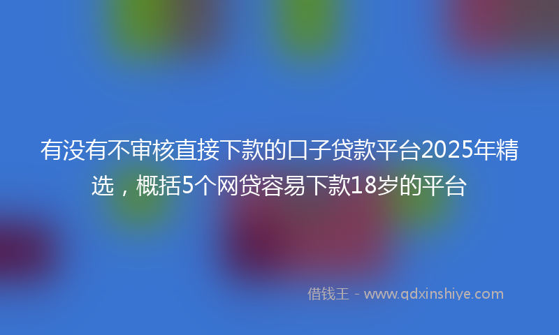 有没有不审核直接下款的口子贷款平台2025年精选，概括5个网贷容易下款18岁的平台