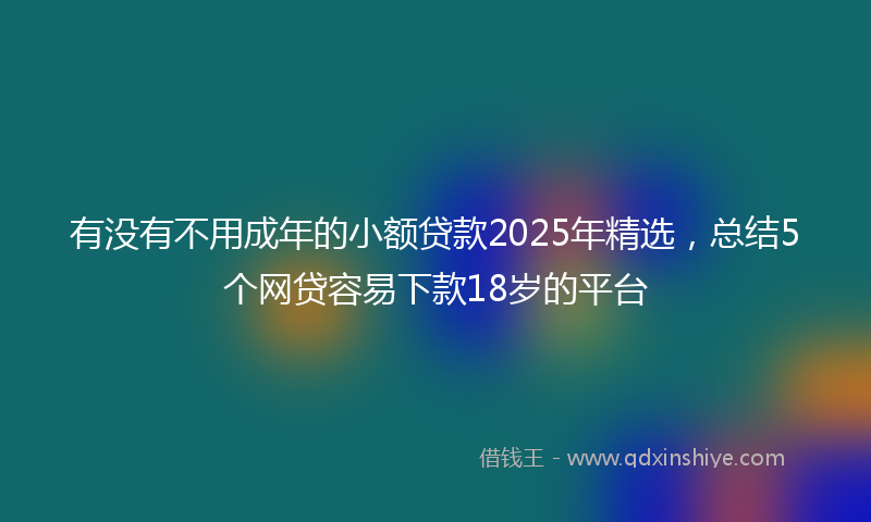 有没有不用成年的小额贷款2025年精选，总结5个网贷容易下款18岁的平台