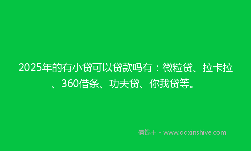 2025年的有小贷可以贷款吗有：微粒贷、拉卡拉、360借条、功夫贷、你我贷等。
