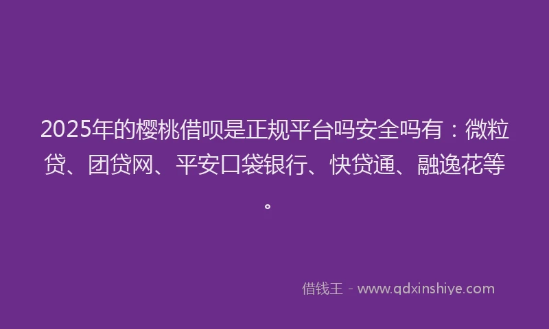 2025年的樱桃借呗是正规平台吗安全吗有：微粒贷、团贷网、平安口袋银行、快贷通、融逸花等。