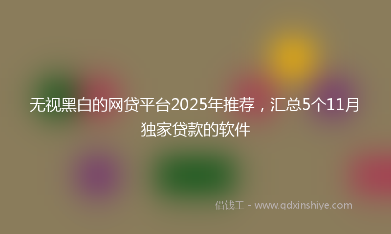 无视黑白的网贷平台2025年推荐，汇总5个11月独家贷款的软件
