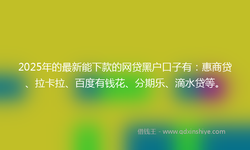2025年的最新能下款的网贷黑户口子有：惠商贷、拉卡拉、百度有钱花、分期乐、滴水贷等。
