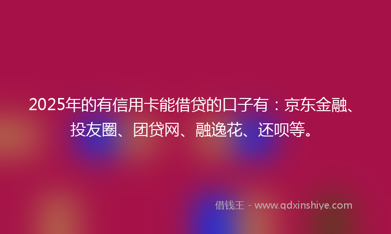 2025年的有信用卡能借贷的口子有：京东金融、投友圈、团贷网、融逸花、还呗等。