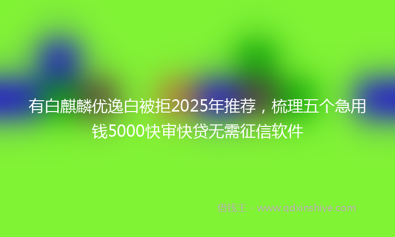 有白麒麟优逸白被拒2025年推荐，梳理五个急用钱5000快审快贷无需征信软件