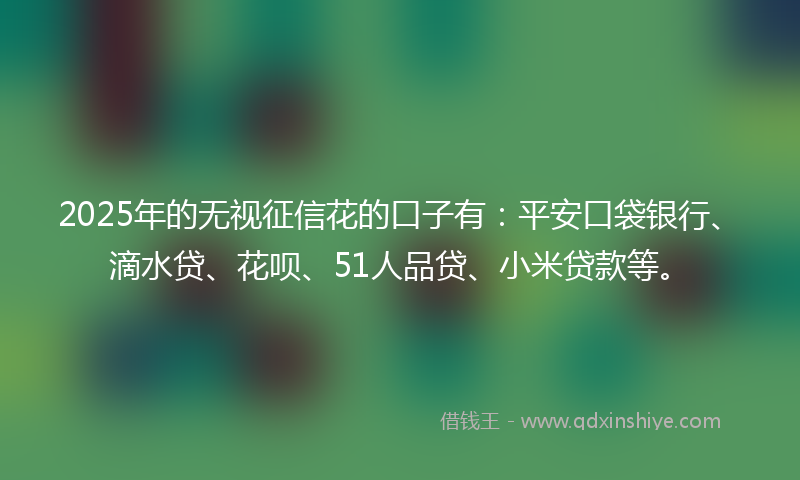 2025年的无视征信花的口子有：平安口袋银行、滴水贷、花呗、51人品贷、小米贷款等。