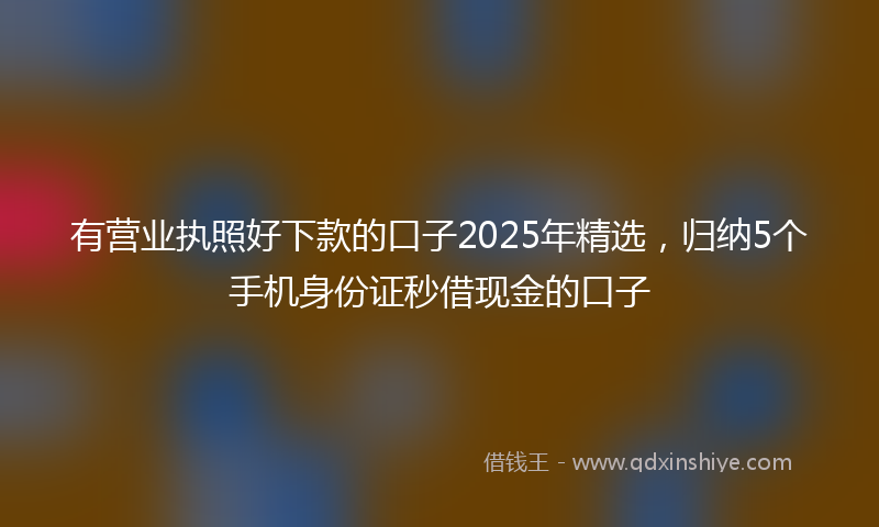 有营业执照好下款的口子2025年精选，归纳5个手机身份证秒借现金的口子