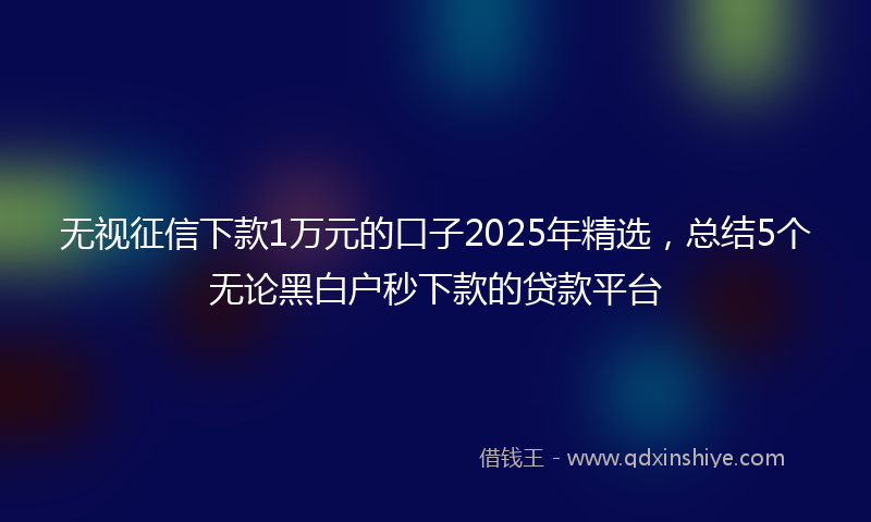 无视征信下款1万元的口子2025年精选，总结5个无论黑白户秒下款的贷款平台