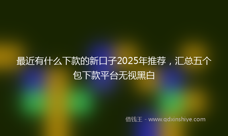最近有什么下款的新口子2025年推荐，汇总五个包下款平台无视黑白