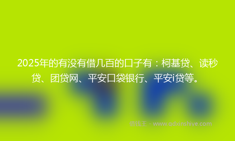 2025年的有没有借几百的口子有：柯基贷、读秒贷、团贷网、平安口袋银行、平安i贷等。