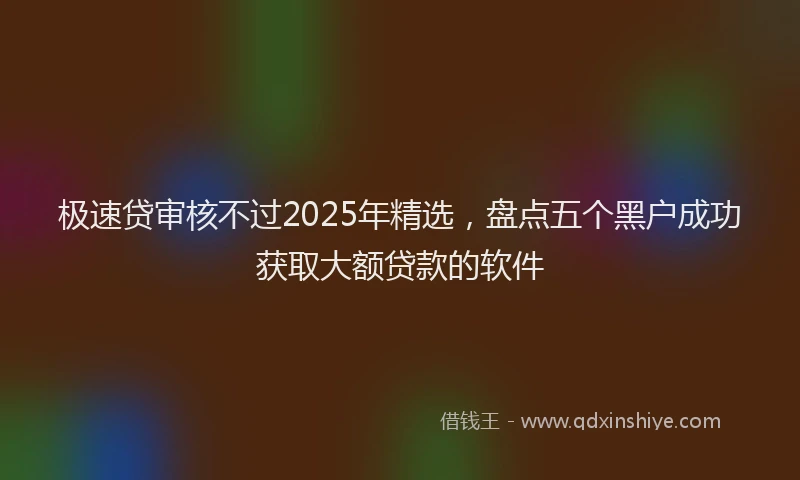 极速贷审核不过2025年精选，盘点五个黑户成功获取大额贷款的软件