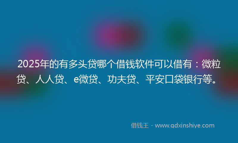 2025年的有多头贷哪个借钱软件可以借有：微粒贷、人人贷、e微贷、功夫贷、平安口袋银行等。