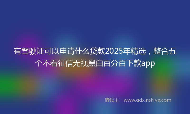 有驾驶证可以申请什么贷款2025年精选，整合五个不看征信无视黑白百分百下款app