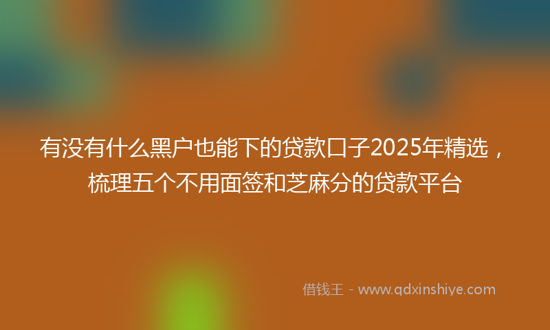 有没有什么黑户也能下的贷款口子2025年精选，梳理五个不用面签和芝麻分的贷款平台