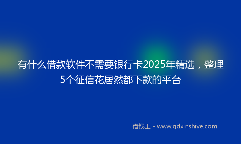 有什么借款软件不需要银行卡2025年精选，整理5个征信花居然都下款的平台
