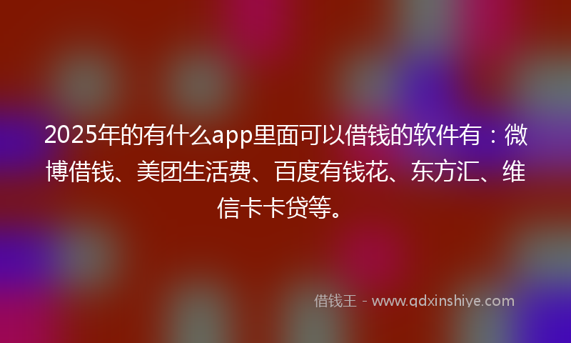 2025年的有什么app里面可以借钱的软件有：微博借钱、美团生活费、百度有钱花、东方汇、维信卡卡贷等。