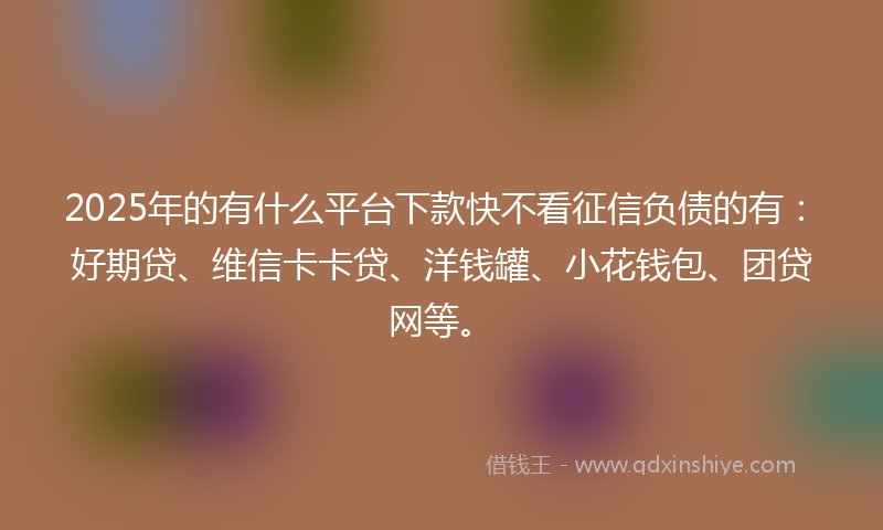 2025年的有什么平台下款快不看征信负债的有：好期贷、维信卡卡贷、洋钱罐、小花钱包、团贷网等。