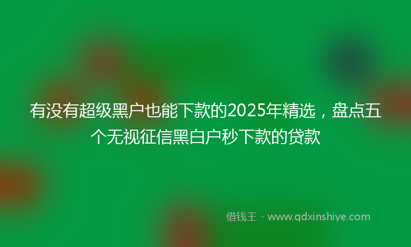 有没有超级黑户也能下款的2025年精选，盘点五个无视征信黑白户秒下款的贷款
