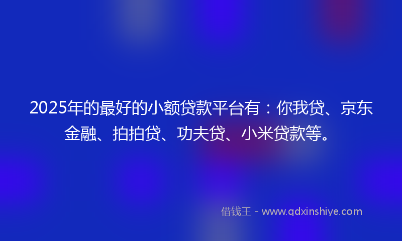 2025年的最好的小额贷款平台有：你我贷、京东金融、拍拍贷、功夫贷、小米贷款等。