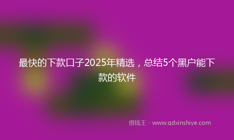 最快的下款口子2025年精选，总结5个黑户能下款的软件