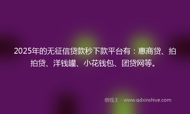 2025年的无征信贷款秒下款平台有：惠商贷、拍拍贷、洋钱罐、小花钱包、团贷网等。