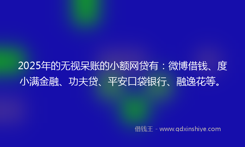 2025年的无视呆账的小额网贷有：微博借钱、度小满金融、功夫贷、平安口袋银行、融逸花等。