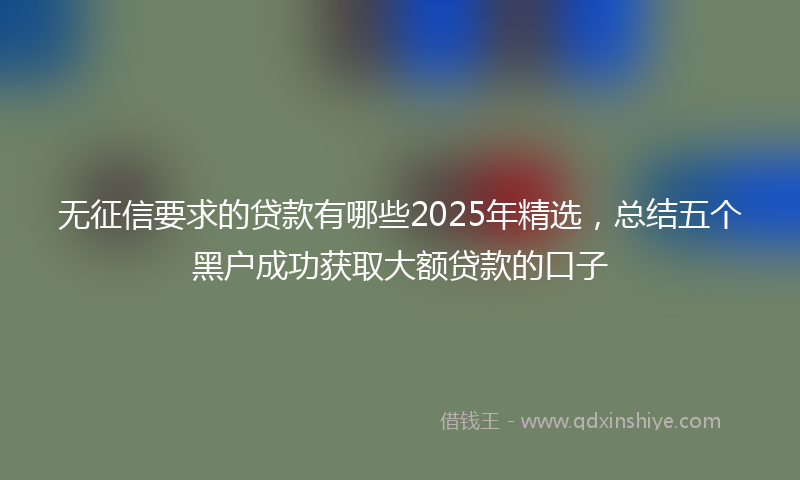 无征信要求的贷款有哪些2025年精选，总结五个黑户成功获取大额贷款的口子