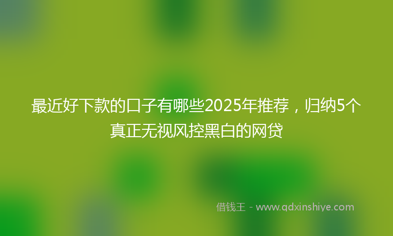 最近好下款的口子有哪些2025年推荐，归纳5个真正无视风控黑白的网贷
