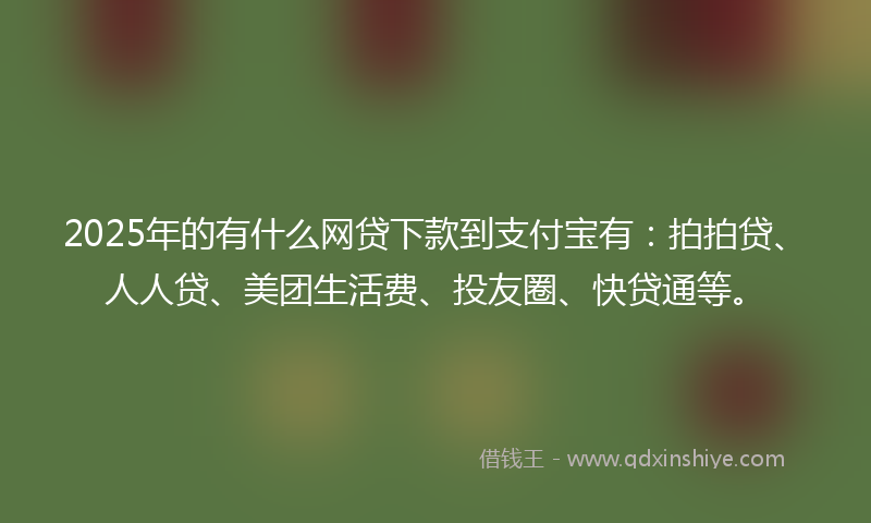 2025年的有什么网贷下款到支付宝有：拍拍贷、人人贷、美团生活费、投友圈、快贷通等。
