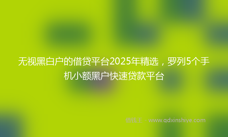 无视黑白户的借贷平台2025年精选，罗列5个手机小额黑户快速贷款平台