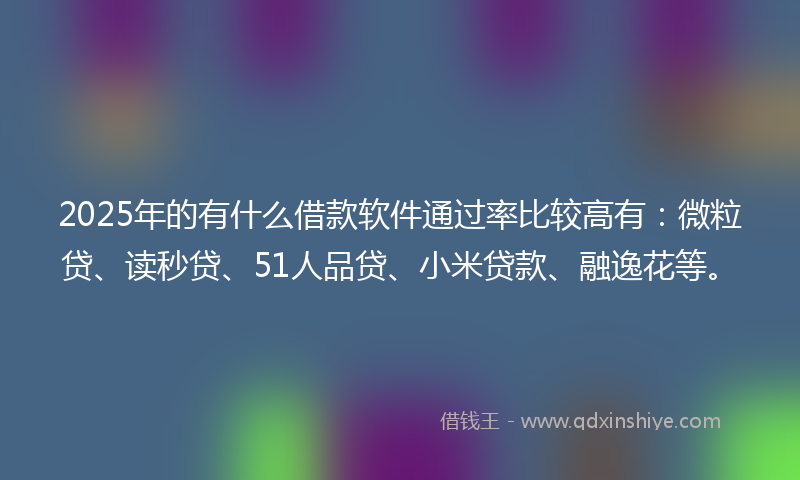 2025年的有什么借款软件通过率比较高有：微粒贷、读秒贷、51人品贷、小米贷款、融逸花等。