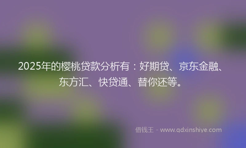 2025年的樱桃贷款分析有：好期贷、京东金融、东方汇、快贷通、替你还等。