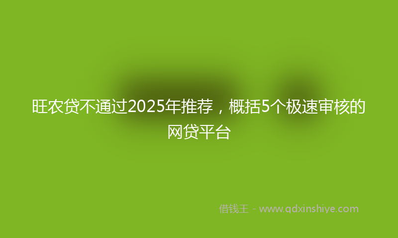 旺农贷不通过2025年推荐，概括5个极速审核的网贷平台