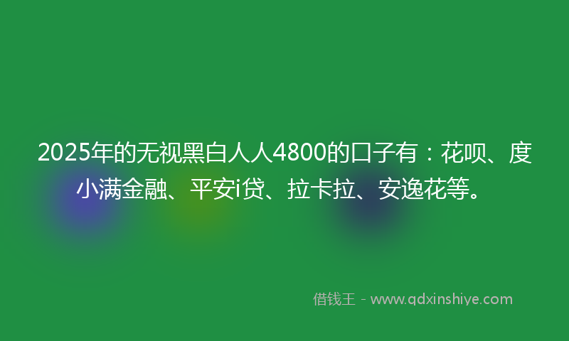 2025年的无视黑白人人4800的口子有：花呗、度小满金融、平安i贷、拉卡拉、安逸花等。
