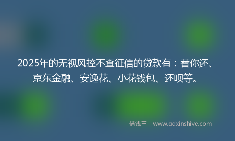 2025年的无视风控不查征信的贷款有：替你还、京东金融、安逸花、小花钱包、还呗等。