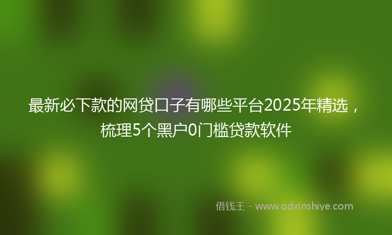 最新必下款的网贷口子有哪些平台2025年精选，梳理5个黑户0门槛贷款软件