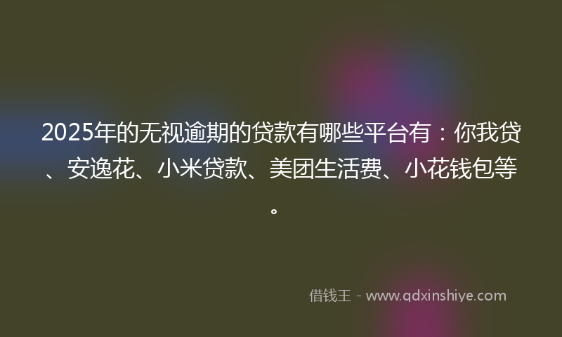2025年的无视逾期的贷款有哪些平台有：你我贷、安逸花、小米贷款、美团生活费、小花钱包等。