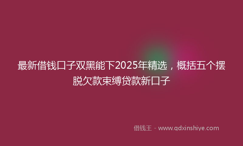 最新借钱口子双黑能下2025年精选，概括五个摆脱欠款束缚贷款新口子