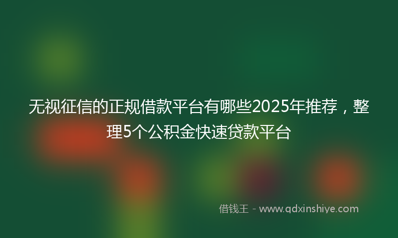 无视征信的正规借款平台有哪些2025年推荐，整理5个公积金快速贷款平台