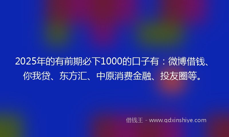 2025年的有前期必下1000的口子有：微博借钱、你我贷、东方汇、中原消费金融、投友圈等。