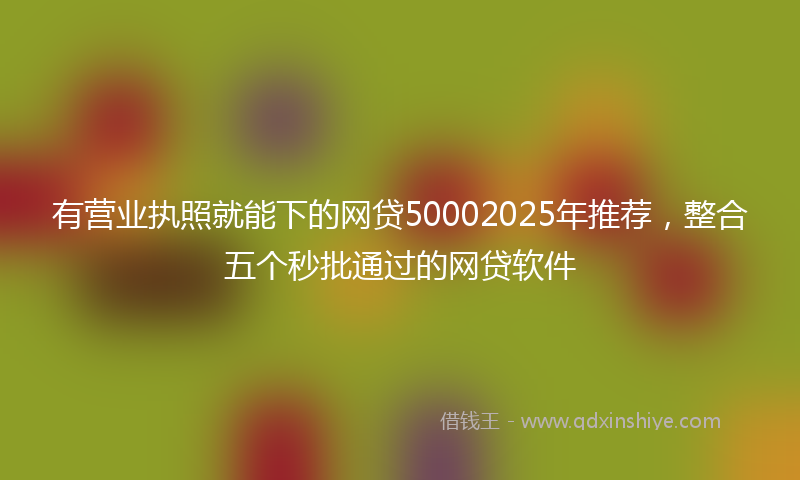有营业执照就能下的网贷50002025年推荐，整合五个秒批通过的网贷软件