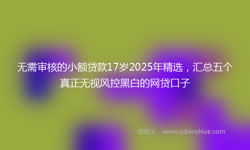 无需审核的小额贷款17岁2025年精选，汇总五个真正无视风控黑白的网贷口子