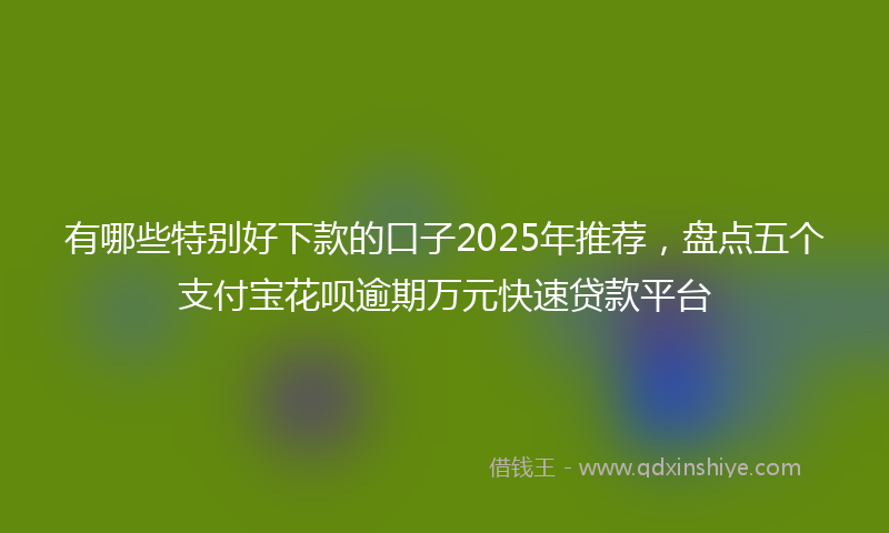 有哪些特别好下款的口子2025年推荐，盘点五个支付宝花呗逾期万元快速贷款平台