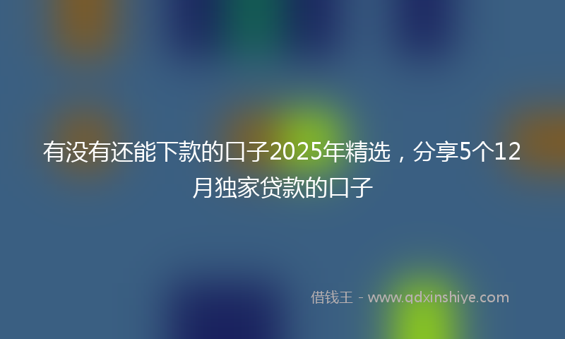 有没有还能下款的口子2025年精选，分享5个12月独家贷款的口子