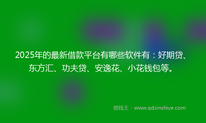 2025年的最新借款平台有哪些软件有：好期贷、东方汇、功夫贷、安逸花、小花钱包等。